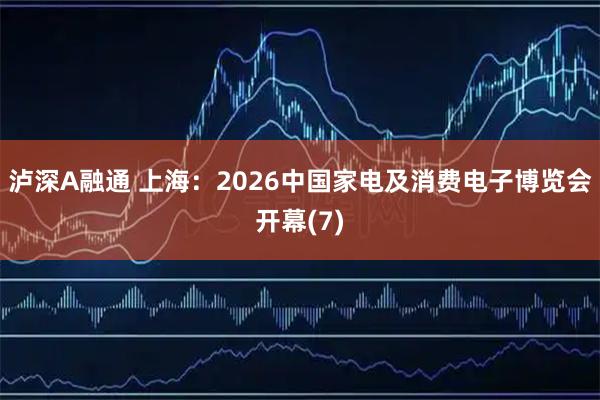 泸深A融通 上海：2026中国家电及消费电子博览会开幕(7)