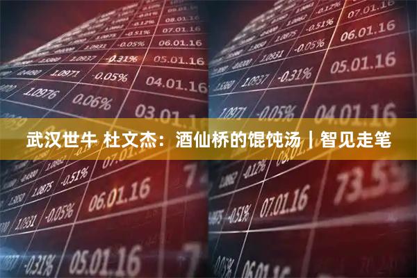 武汉世牛 杜文杰：酒仙桥的馄饨汤｜智见走笔